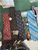 Group of neckties and tie pins