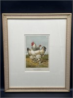 Antique Framed Print- Light Brahma Chickens