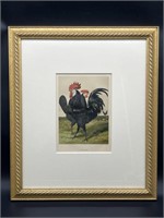Antique Framed Print- Spanish Chickens