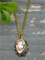 ABALONE PENDANT ON CHAIN NECKLACE ROCK STONE LAPID
