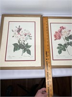 Lot of 2 Framed Floral Botanical Prints Flowers