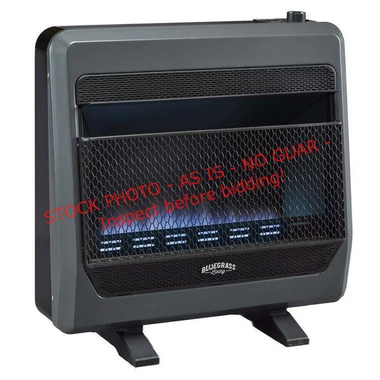 Bluegrass 30k BTU Space Heater
