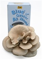 New Root Mushroom Farm— Blue Oyster Mushroom Grow