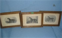 Group of antique horse prints circa 1860s to 1870s