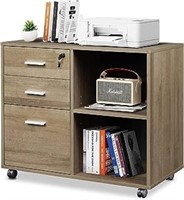 Devaise 3-drawer Wood File Cabinet With Lock,