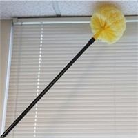 Professional Cobweb Duster With Extension Pole