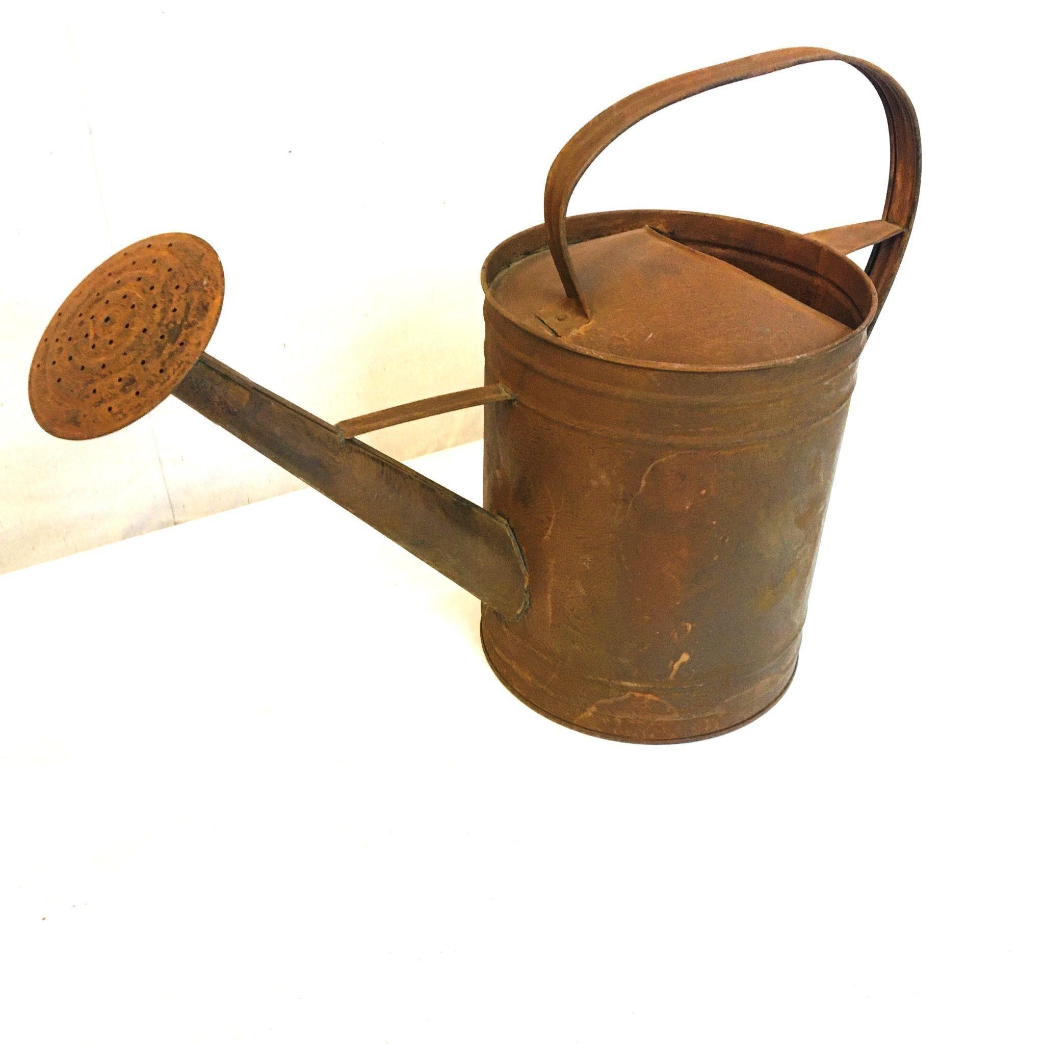 Rustic Watering Can