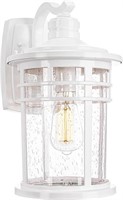 Darkaway Large Outdoor Porch Lights Wall Mount, 15