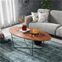 Holdolife Oval Coffee Table For Living Room, Metal