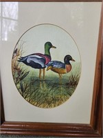 Roseanne Schumer watercolor of duck on shore of