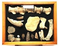 Fossilized Animal Bones & Arrowheads