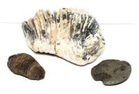 Two Fossils & Tomahawk Head