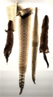 Rattlesnake Skins & Mink Pelts