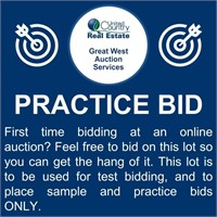 First time bidding at an online auction?