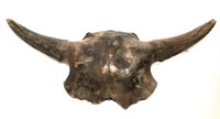 Bison Skull Cap & Horns