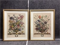 April and February Flowers Framed Prints
