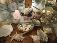 Rocks,Crystals,Fossils, Seashells