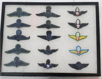Display of Royal Thai Army Military Badges
