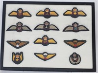 Display of Canadian Military Paratrooper Badges