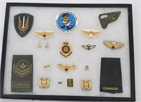 Display of Canadian Military Forces Badges
