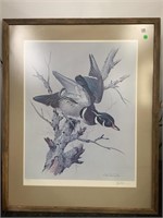 Lithograph Wood Duck by Basil Ede 519/550