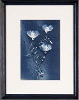 Becky Brinkley "Three Evening Primrose Blooms"