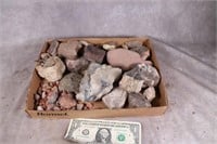 Quartz, Petrified Wood, and More! See Pictures