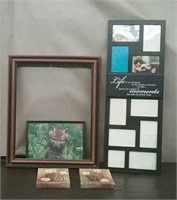 Collage Picture Frame, 2 6"×8" Floral Pictures,