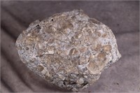 Interesting Large Aggregate Rock - See pictures