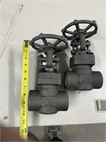 2-new cast valves