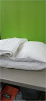 (2 )King Size Pillows & Pillow cases