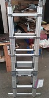 Telescopic Ladder up to 16'