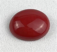 12.27Ct Oval Red Coral Cabochon