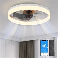 Ceiling Fans with Lights 19.7in, Low Profile
