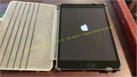 iPad Mini with Case