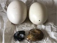 Ostrich Eggs and polished stone