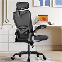 ErGear Desk Chair  2' Lumbar Support  Black