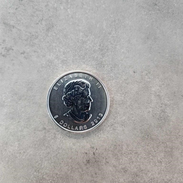 2013 Canadian $5 1 Ounce Silver Coin
