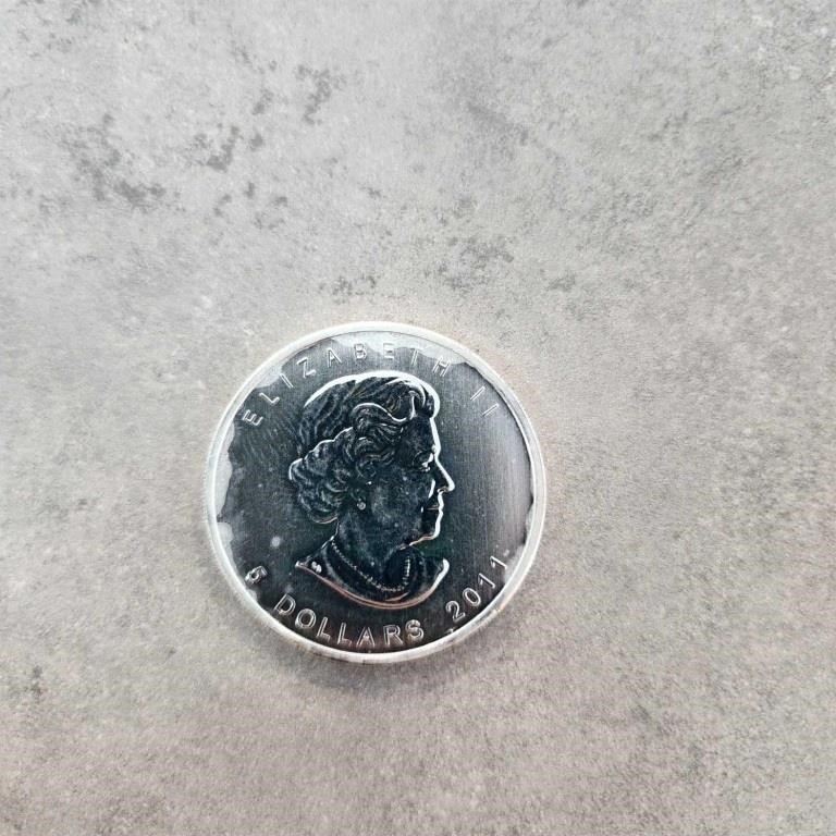 2011 Canadian 1 Ounce Silver $5 Coin