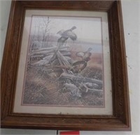 Framed Print Pheasant