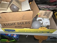 Light Bulbs & Fly Swatters