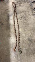 12’ CHAIN WITH HOOKS