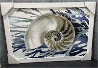 New, Spiral Shell Board Picture Framed in White