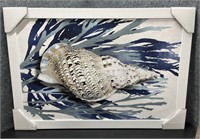 New, Conch Shell Picture, Board, Framed in White