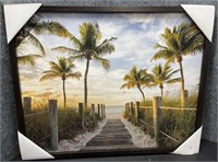 New, Stroll Under The Palms, Board Picture