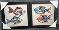New, Pair, Tropical Fish, Board Pictures,
