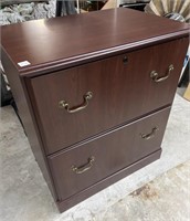 Two Drawer File Cabinet with Rails for Files