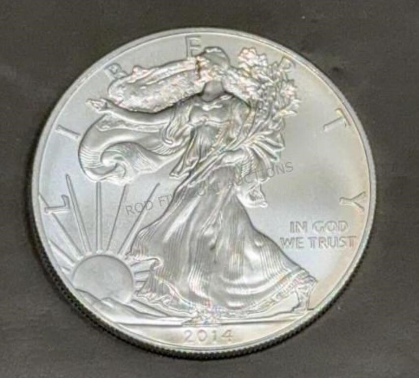 2014 Walking Liberty 1oz Silver Coin