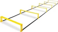 Raised Speed & Agility Ladder With 6