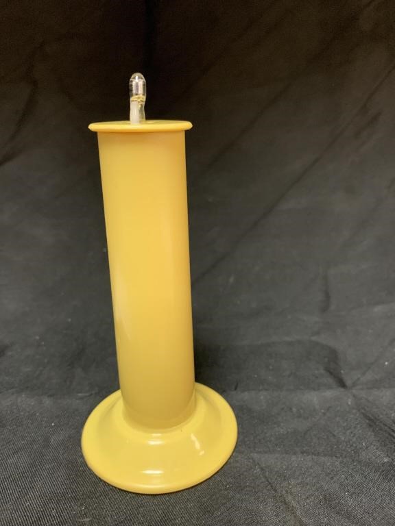MERCURY THERMOMETER IN CELLULOID HOLDER